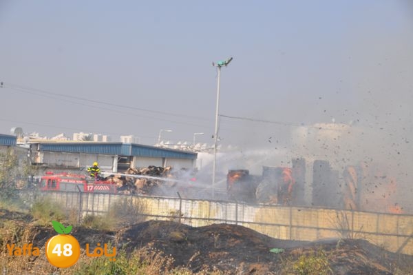 firecartoonsecnd506 (22).JPG